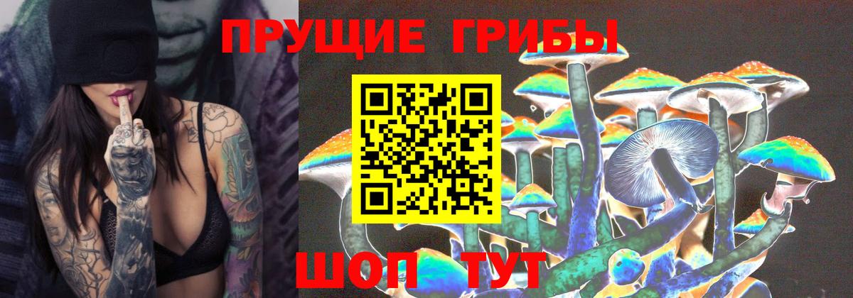 Санкт-Петербург  Галлюциногенные грибы MAGIC MUSHROOMS  Вход с VPN  как найти наркотики  Псилоцибиновые грибы мухоморы 