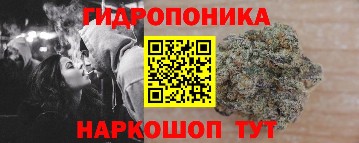 Каннабис конопля Санкт-Петербург